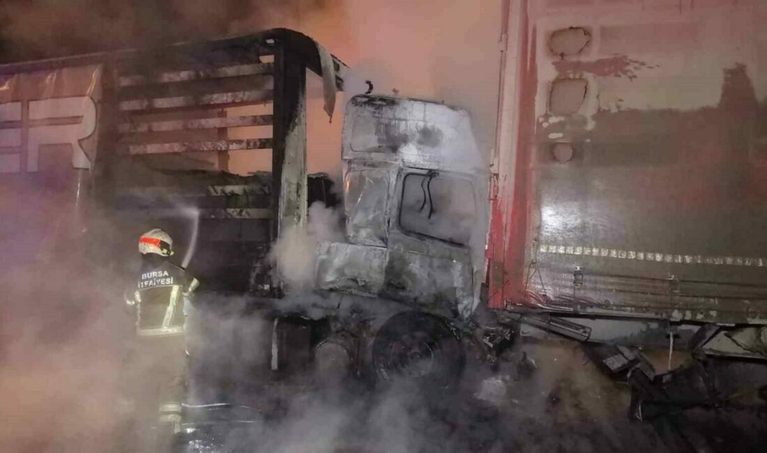 Bursa’da kaza yapan tır alev aldı: 1 ölü, 1 yaralı Bursa’nın İnegöl ilçesinde meydana gelen kazada kontrolden çıkan sunta yüklü