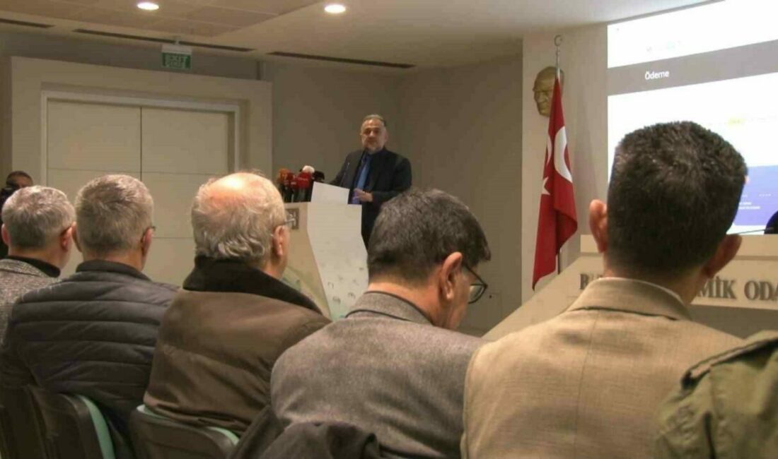 Deprem risk analizlerini raporlayan yapay zeka projesi hayata geçti Yapı Denetim ve Deprem Mühendisliği Derneği Bursa Şubesi, Türkiye genelinde