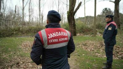 Bursa’nın Karacabey ilçesinde barınaktan firar eden ayı için havadan dron
