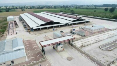 İnegöl Belediyesi tarafından yapılan açıklamaya göre, ilçede görülen şap hastalığı