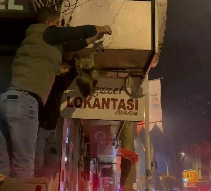İznik’te kablolara dolanan kedi kurtarıldı Bursa’nın İznik ilçesinde kablolara dolanan bir kedi, duyarlı vatandaşların çabasıyla