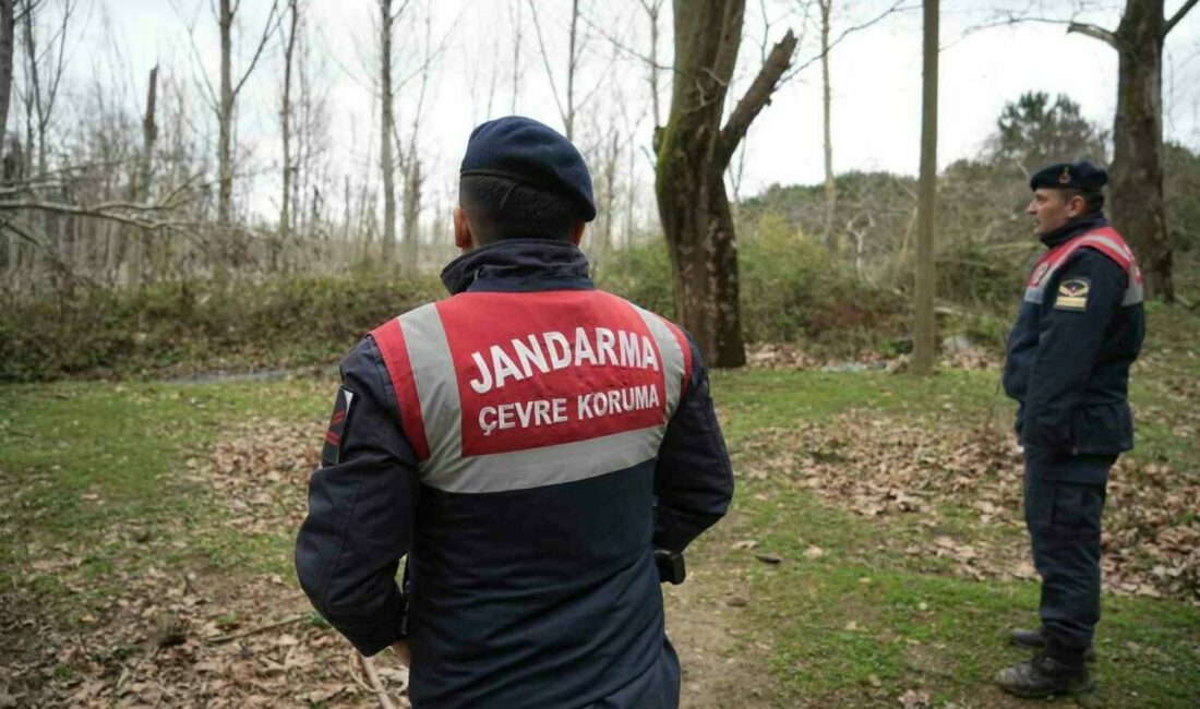 Kaçak ayı 9 gün sonra yakalandı Bursa’nın Karacabey ilçesindeki barınaktan kaçan ayı 9 gün sonra yakalandı.