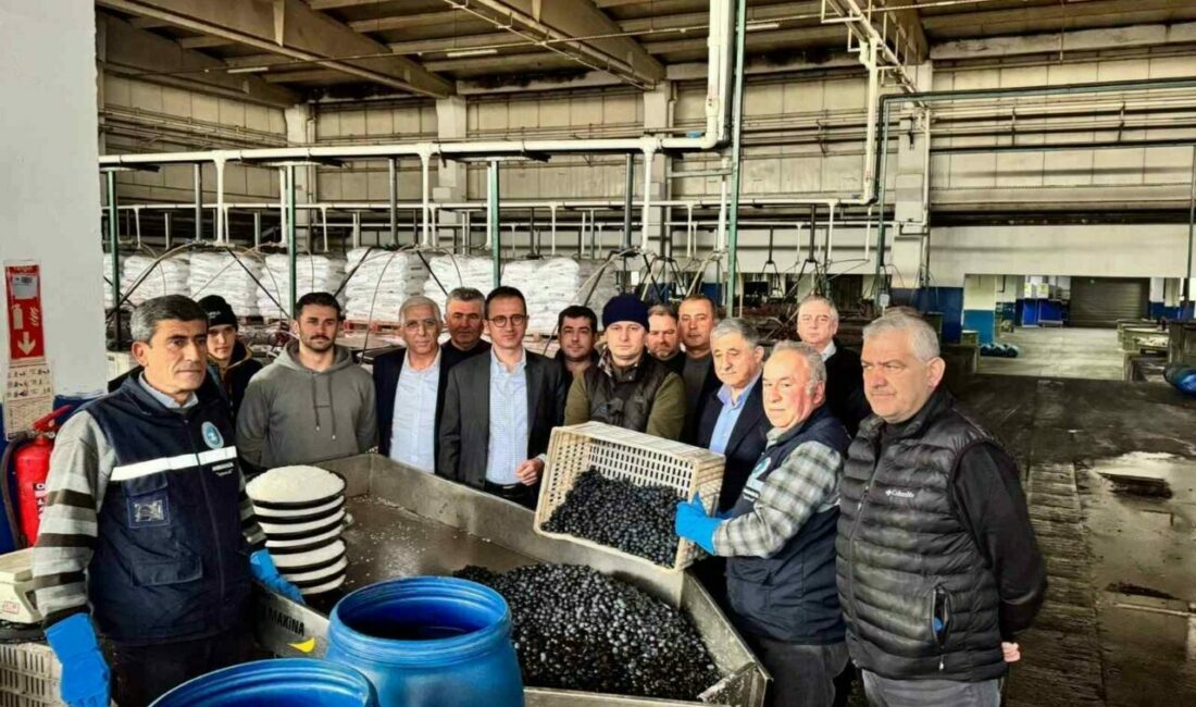 Kaymakam Karaman İznik Zeytin Kooperatifi’ni ziyaret etti İznik Kaymakamı Arif Karaman, 2024/25 ürün alım kampanyasının devam ettiği