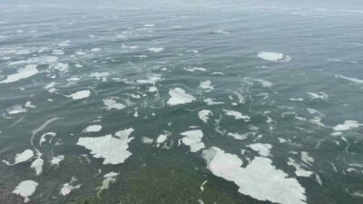 Bursa’nın Mudanya ilçesinde kış mevsimine rağmen denizi müsilaj sardı. Denizde