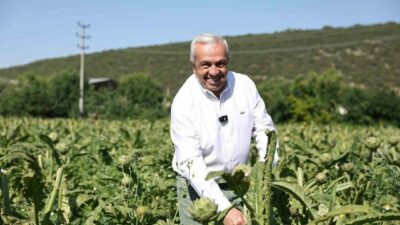 Nilüfer’de tarım topraklarını koruyup tarımın yeniden ayağa kalkması için kolları