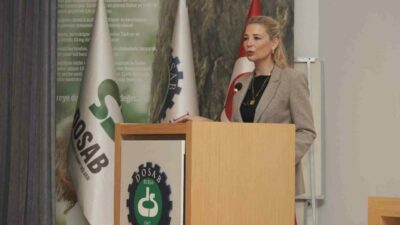 Demirtaş Organize Sanayi Bölgesi Sanayici ve İş İnsanları Derneği (DOSABSİAD),