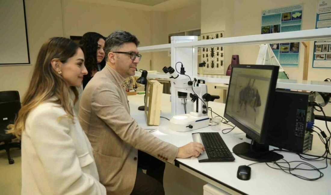 Bursa Teknik Üniversitesinin projesiyle; Uludağ’ın farklı orman zonlarında yayılış gösteren