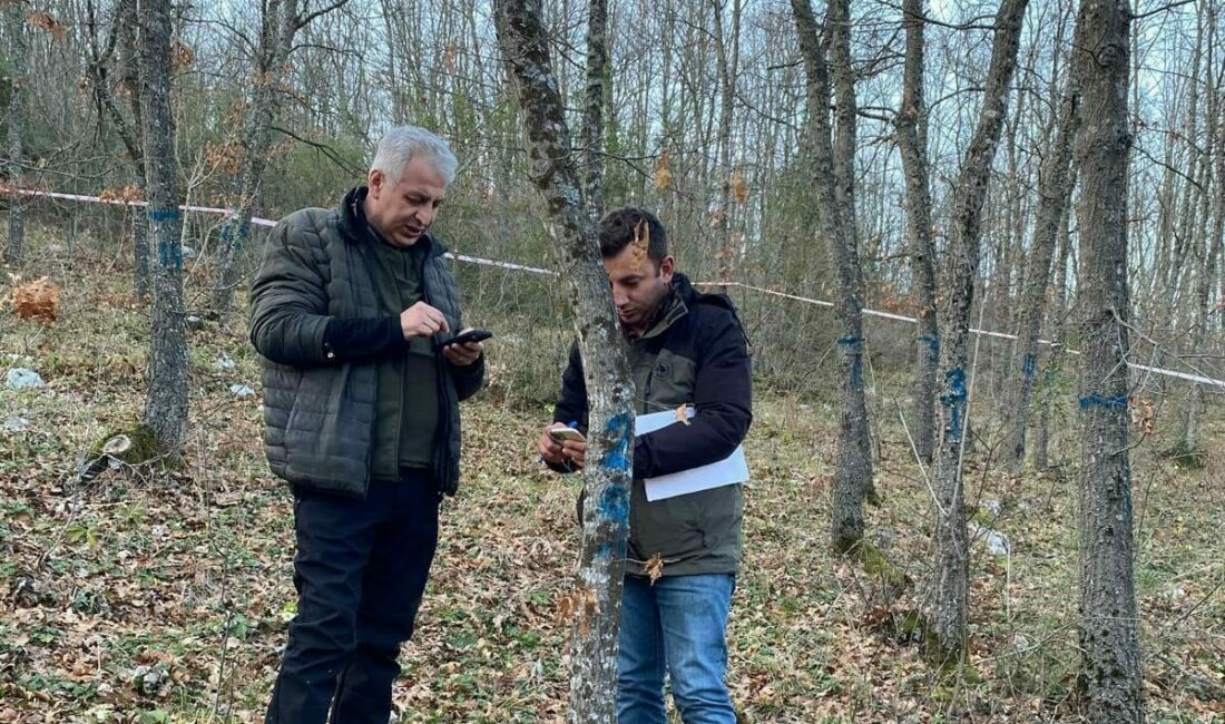 Bursa ormanlarındaki ağaçlar tek tek kontrol edildi Bursa Orman Bölge Müdürlüğü ekipleri, ormanların sağlıklı gelişimlerini takip etmek