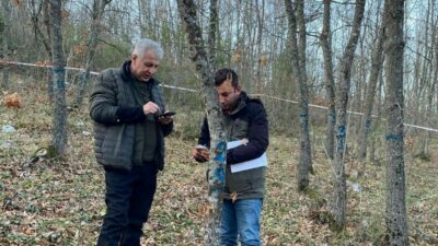 Bursa Orman Bölge Müdürlüğü ekipleri, ormanların sağlıklı gelişimlerini takip etmek