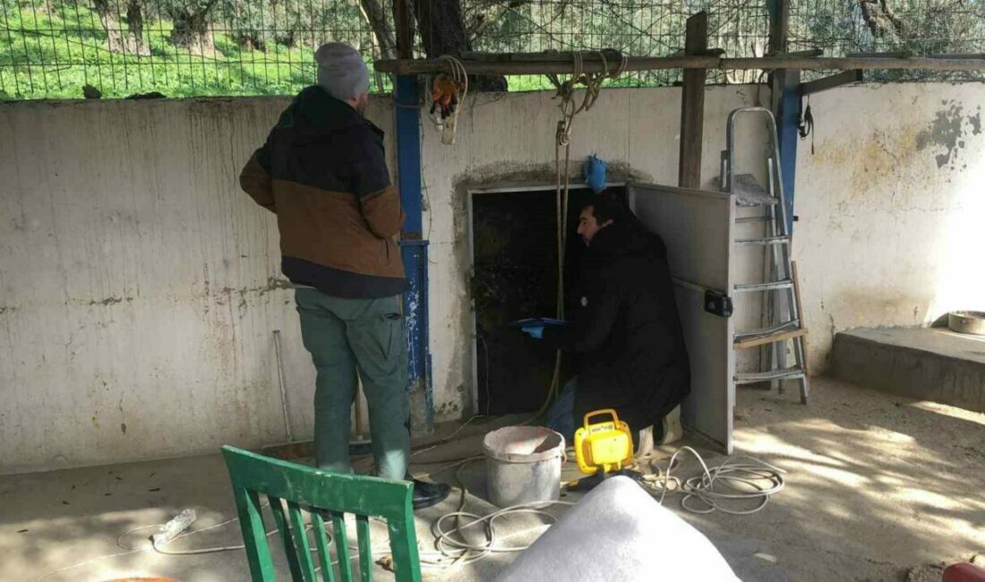 Bursa’da kaçak kazı operasyonu Bursa’nın Gemlik ilçesinde kaçak kazı yaptığı belirlenen 3 kişi polis