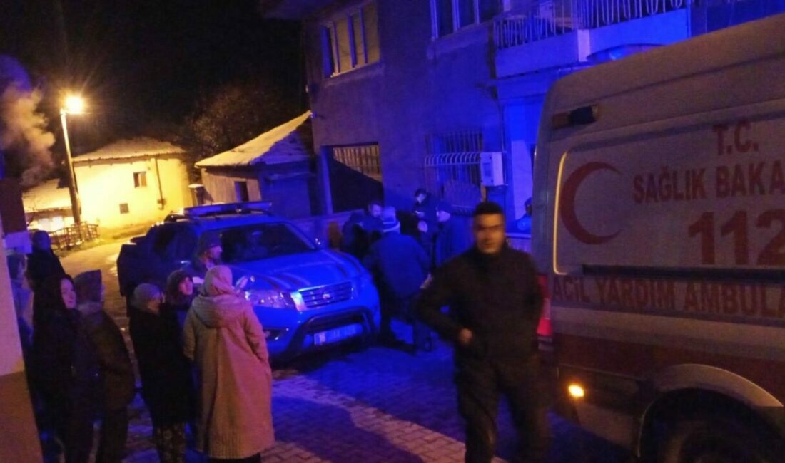 Bursa’nın Orhangazi ilçesine bağlı Çeltikçi Mahallesi’nde evinde merdivenlerden düşen yaşlı