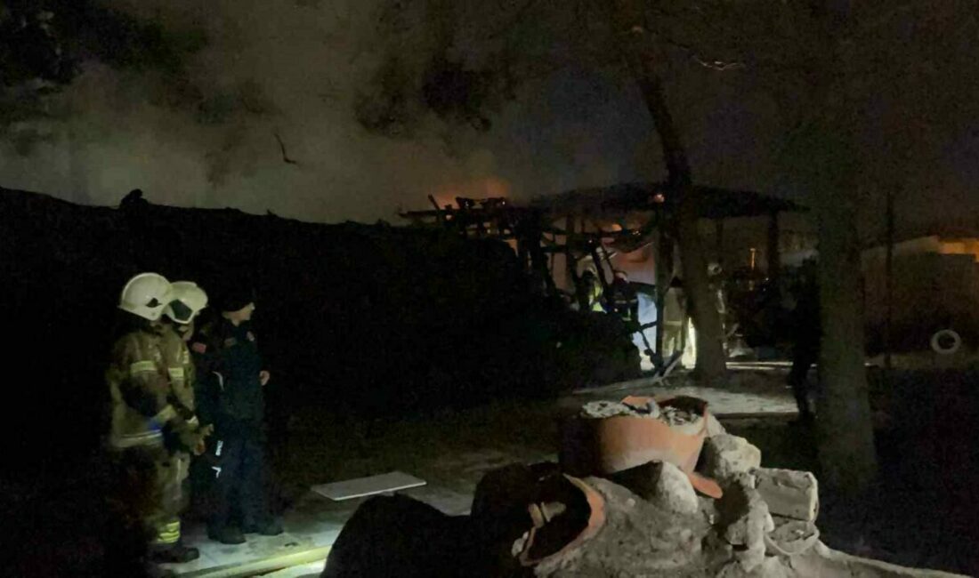 Bursa’nın Kestel ilçesine adını veren tarihi Kestel Kalesi’nde yangın çıktı.