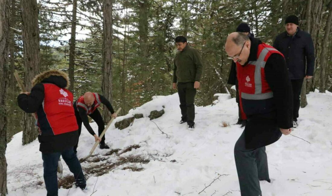 Doğa Koruma ve Milli Parklar Uludağ’daki yaban hayvanlarını unutmadı Doğa Koruma ve Milli Parklar Bursa il Müdürlüğü ekipleri Uludağ’da