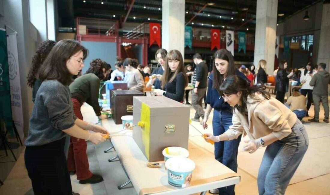 Eski oy sandıkları kedilere yuva oldu Nilüfer Belediyesi’nin Nilüfer Kent Konseyi ve HEPAD iş birliği ile