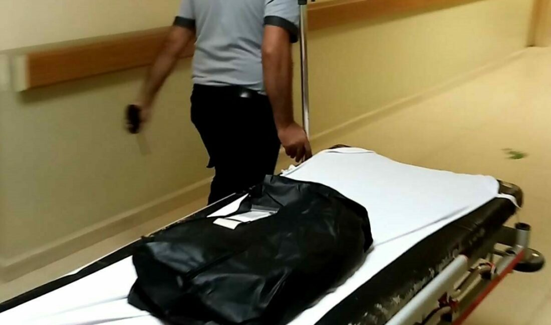 Genzine süt kaçan 2 aylık bebek hayatını kaybetti Bursa’nın İnegöl ilçesinde annesinin emzirirken uyuyakalması sonucu genzine süt kaçan