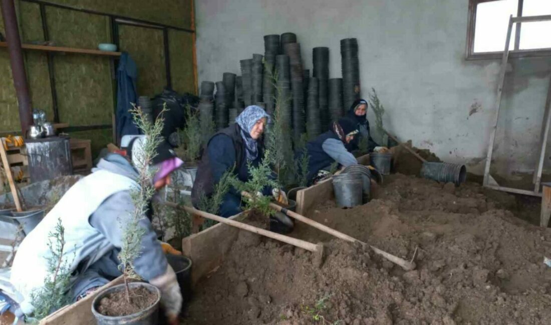 Karacabey Belediyesi’nden doğaya saygılı estetik çalışmalar Karacabey Belediyesi Park ve Bahçeler Müdürlüğü, Atatürk Kültür Parkı’nda gerçekleştirilen