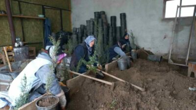 Karacabey Belediyesi Park ve Bahçeler Müdürlüğü, Atatürk Kültür Parkı’nda gerçekleştirilen