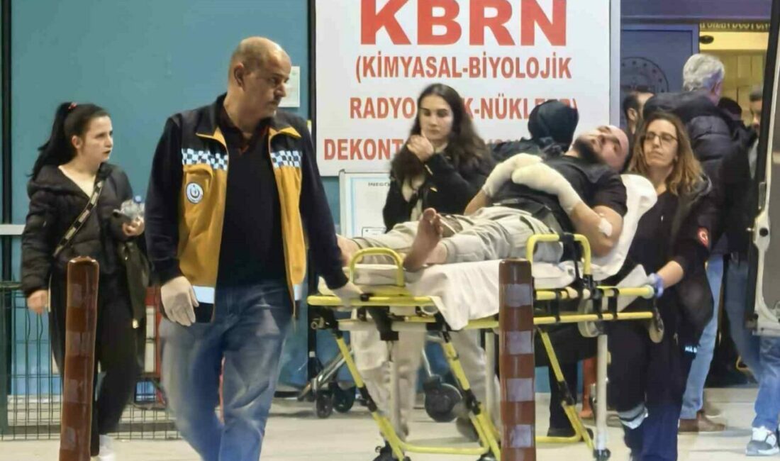 Kediden korkarak camın üzerine düşen genç yaralandı Bursa’nın İnegöl ilçesinde kedinin üzerine zıplaması sonucu korkan genç, düştüğü