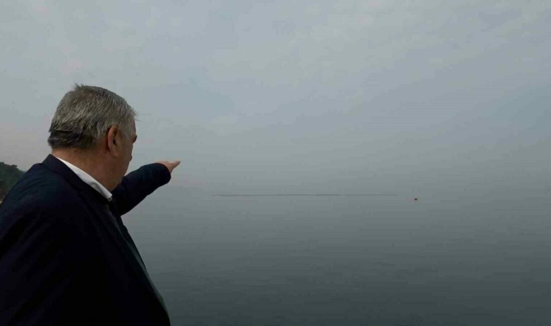 Bursa’nın Gemlik ilçesine bağlı Kurşunlu Mahallesi’nin kıyılarında yer alan midye