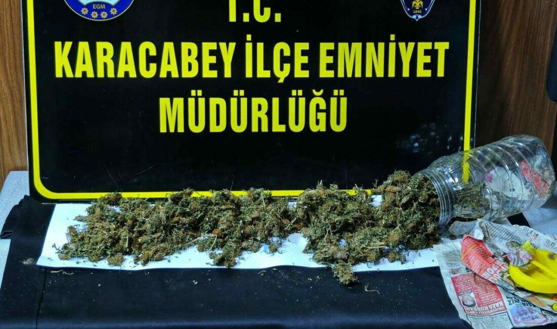 Kuş kümesinde uyuşturucuya polis baskını Bursa’nın Karacabey ilçesinde, polis ekiplerince 500 grama yakın esrar ele