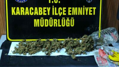 Bursa’nın Karacabey ilçesinde, polis ekiplerince 500 grama yakın esrar ele