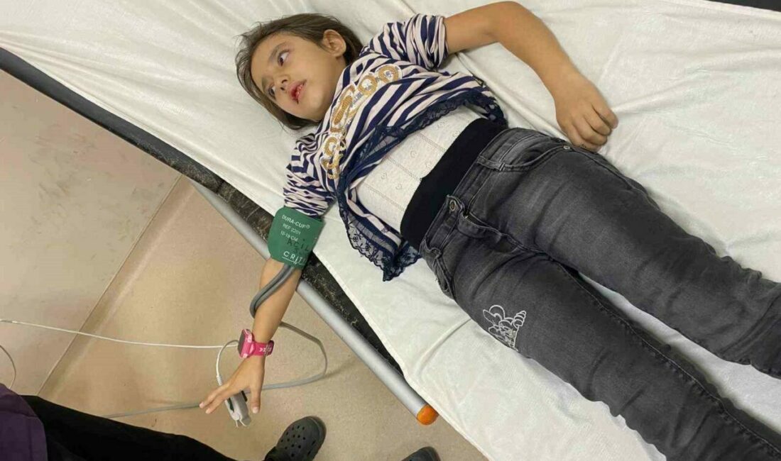 Müdür Yardımcısının bahçede beslediği köpekler 9 yaşındaki öğrenciyi ısırdı Bursa’nın Karacabey ilçesinde okul müdür yardımcısı tarafından ilkokul bahçesinde beslendiği