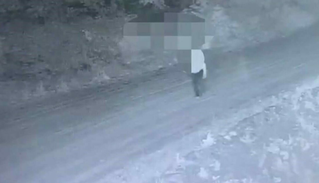 (Özel) Jandarmanın fotokapanı organize suç örgütünü böyle kaptı Marmara ve Ege bölgelerindeki 9 farklı ilde fabrika ve iş