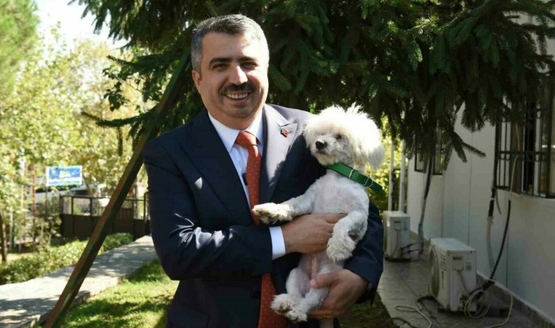 Sahiplenilen hayvanın 1 yıllık muayenesi Yıldırım Belediyesi’nden Yıldırım Belediyesi Sokak Hayvanları Tedavi Merkezi ve Doğal Yaşam Alanı’nda