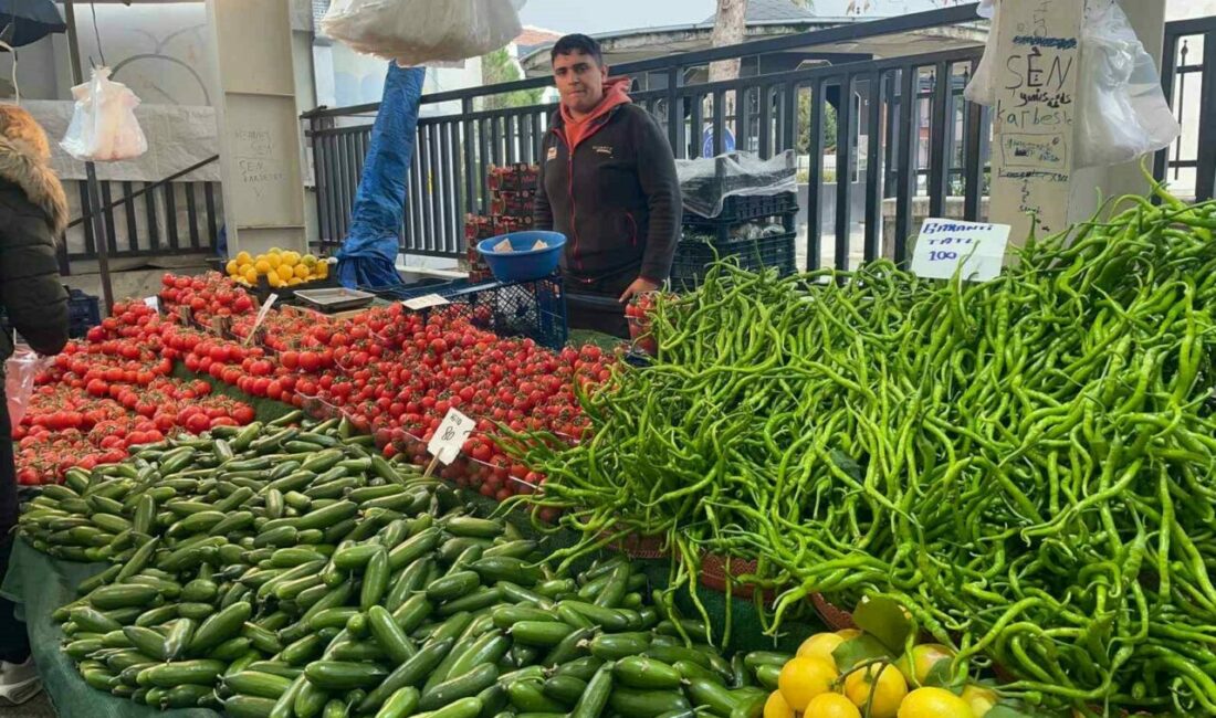 Sebzede artan üretici fiyatları çiftçiye kazandırdı Sebzede üretici fiyatları yıllık yüzde 289’a varan oranlarda artış gösterince