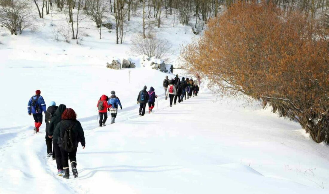 Sevgililer Günü’nde Mysia yollarında romantik yürüyüş Nilüfer Belediyesi, 14 Şubat Sevgililer Günü’ne özel düzenlediği Mysia Yolları