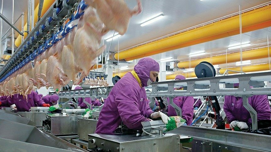 Türkiye AB’ye işlenmiş tavuk eti ihracatına hazırlanıyor Avrupa Birliği’nin (AB) ileri işlenmiş tavuk eti ürünlerine yeşil ışık