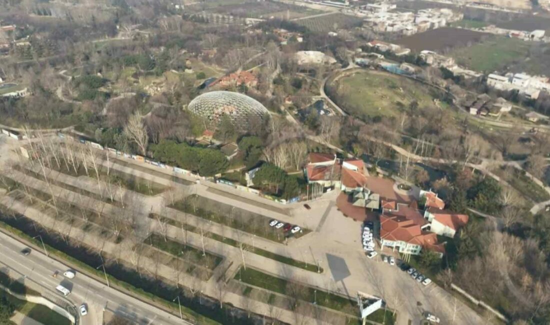 Uykusu kaçan ayılar, 9 kiloluk levrekleri afiyetle midelerine indirdi Bursa Hayvanat Bahçesinde bulunan boz ayılar, havaların mevsim normallerinin üzerinde