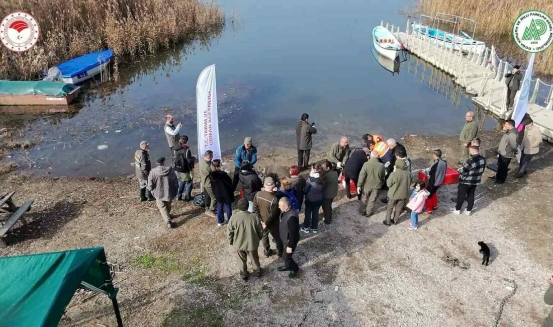 Yaban ördekleri suyla buluştu Doğa Koruma ve Milli Parklar 2. Bölge Müdürlüğü tarafından Bursa