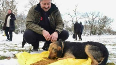 Yenişehir Belediye Başkanı Ercan Özel, ilçede etkili olan kar yağışı
