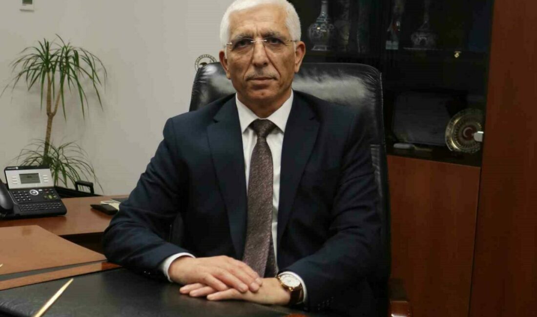 Zeytin üreticisine 800 milyon lira ödeme Marmarabirlik, 2024/2025 iş yılı ürün alım kampanyasında aldığı ürün bedellerinin