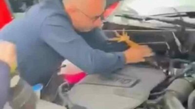 Bursa’nın Gemlik ilçesinde aracının motor kısmına bu kez kedi değil,