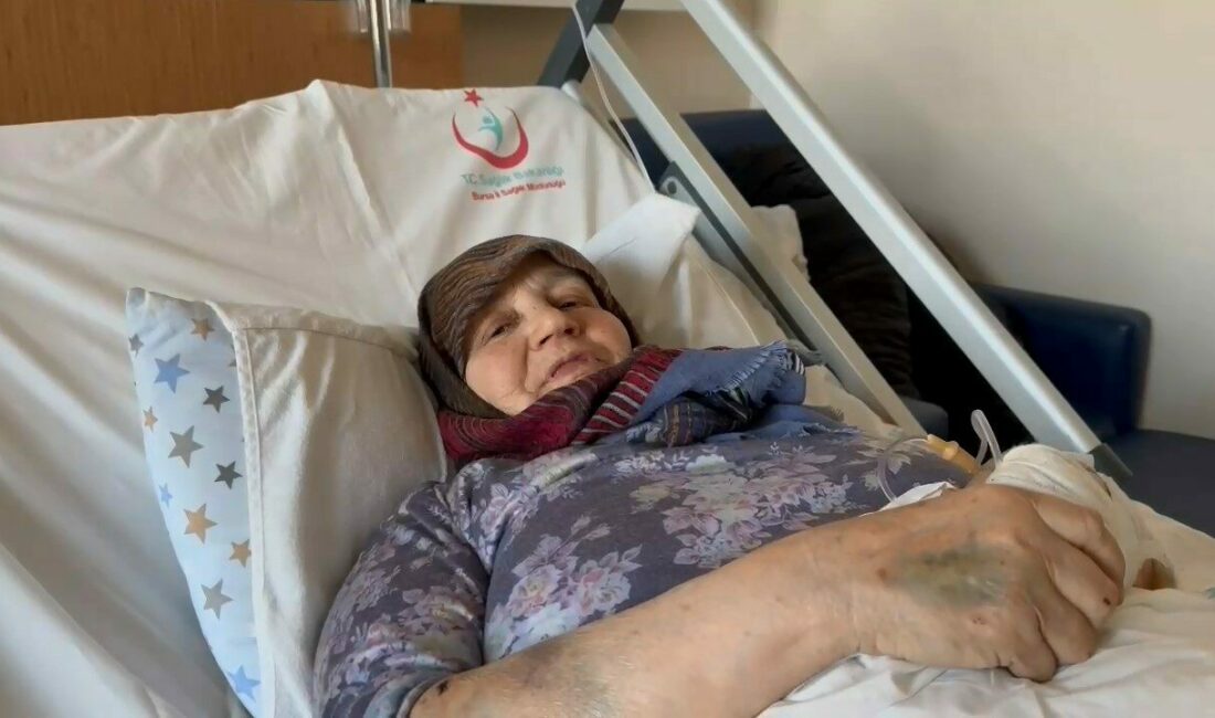 Bursa’nın İznik ilçesinde sahipsiz köpeklerin saldırdığı 66 yaşındaki kadının yardımına