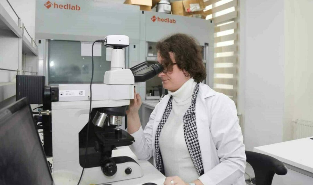 BTÜ akademisyenleri, otomotiv, elektronik, ulaşım gibi pek çok sektöre yenilik