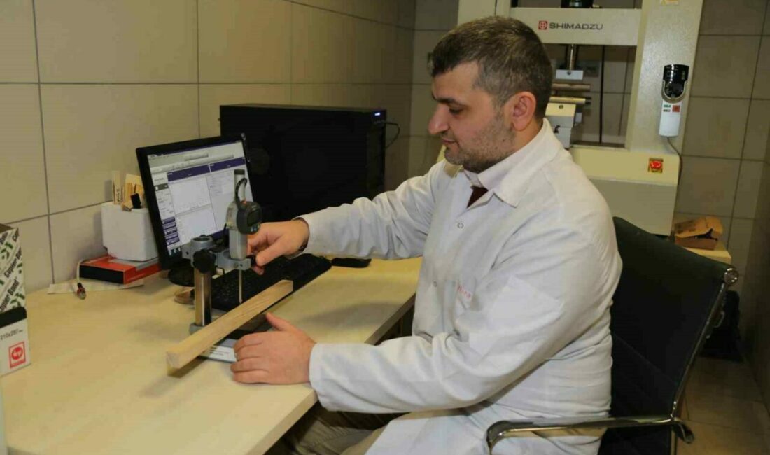 BTÜ’den yağmur ormanlarını koruyacak çalışma Bursa Teknik Üniversitesi (BTÜ) akademisyenleri, kavak, ladin, çam gibi hızlı