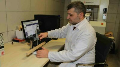 Bursa Teknik Üniversitesi (BTÜ) akademisyenleri, kavak, ladin, çam gibi hızlı