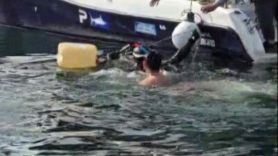 Bursa’nın Gemlik ilçesinde balıkçılar dev orkinos balığı yakaladı. Balıkçıların elinden