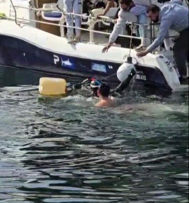Bursa’nın Gemlik ilçesinde balıkçılar dev orkinos balığı yakaladı. Balıkçıların elinden