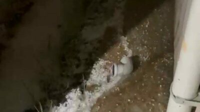 Bursa’nın Büyükorhan ilçesinde etkili olan dolu yağışı nedeniyle bahçelerdeki fideler