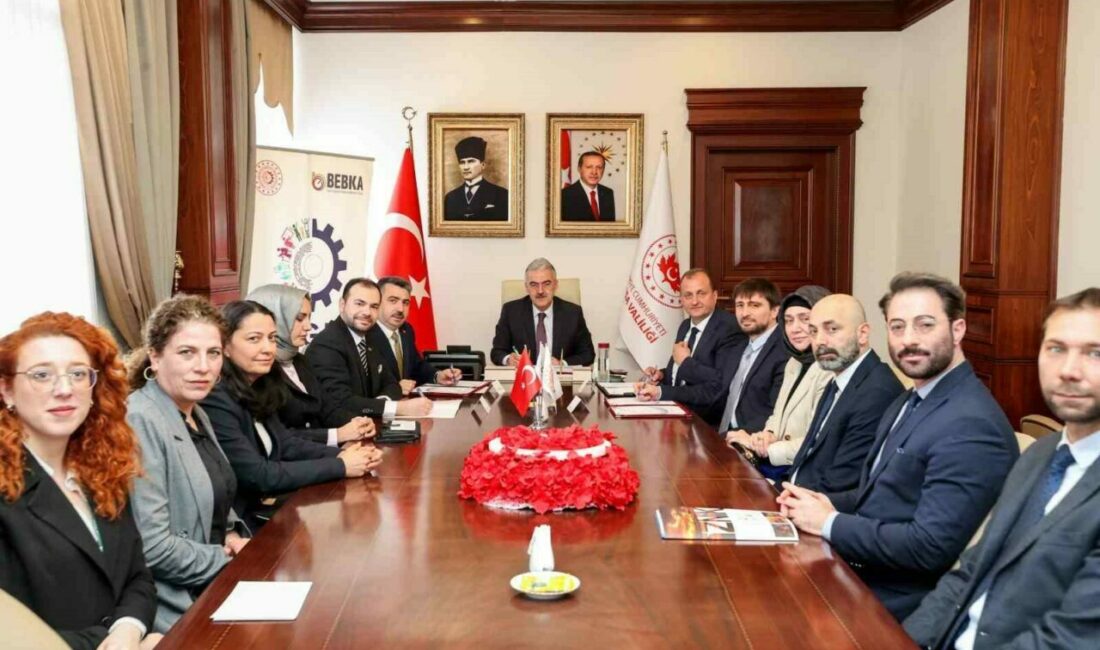 Sanayi ve Teknoloji Bakanlığı Kalkınma Ajansları Genel Müdürlüğü koordinasyonunda kalkınma