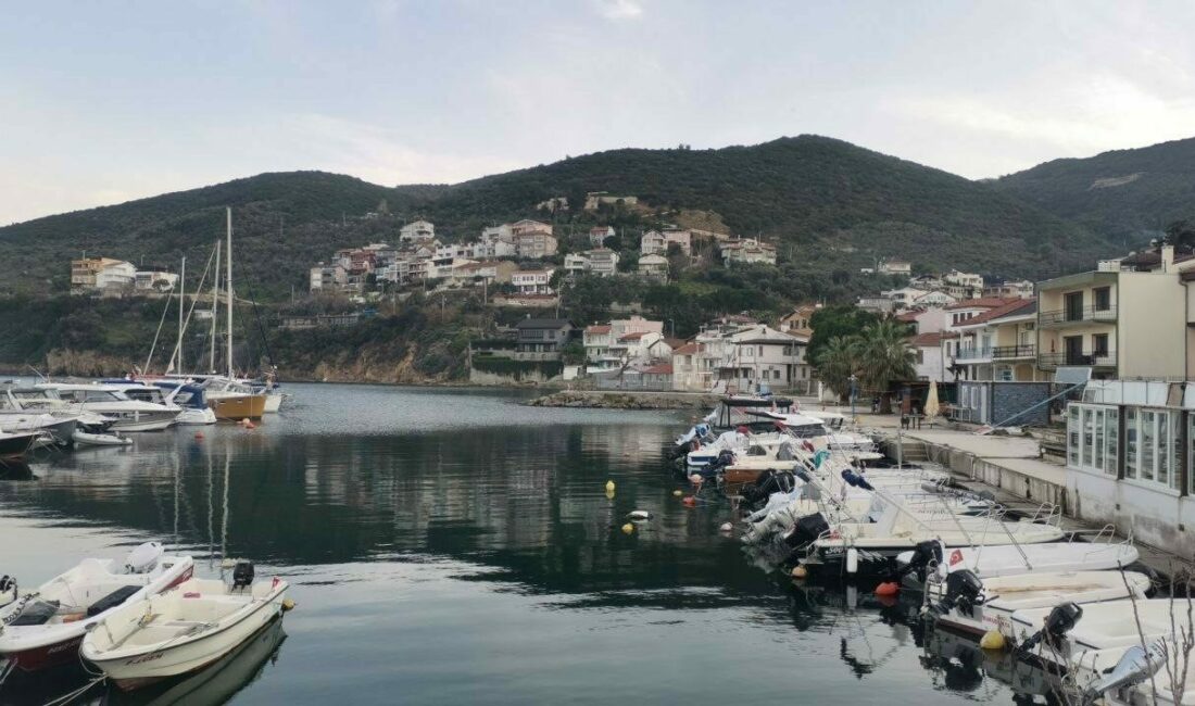 Bursa’da yolsuzluk operasyonu: Kooperatif başkanı ve oğlu tutuklandı Bursa’nın Mudanya ilçesinde Su Ürünleri Kooperatifi Başkanı Ramiz B. ve