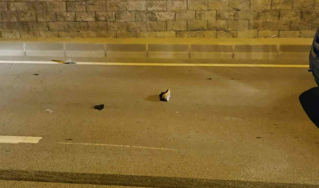 Bursa’da yolun karşısına geçen 2 kişiye hafif ticari araç çarptı: 2 yaralı Bursa’da yolun karşısına geçmekte olan 2 kişiye hafif ticari araç