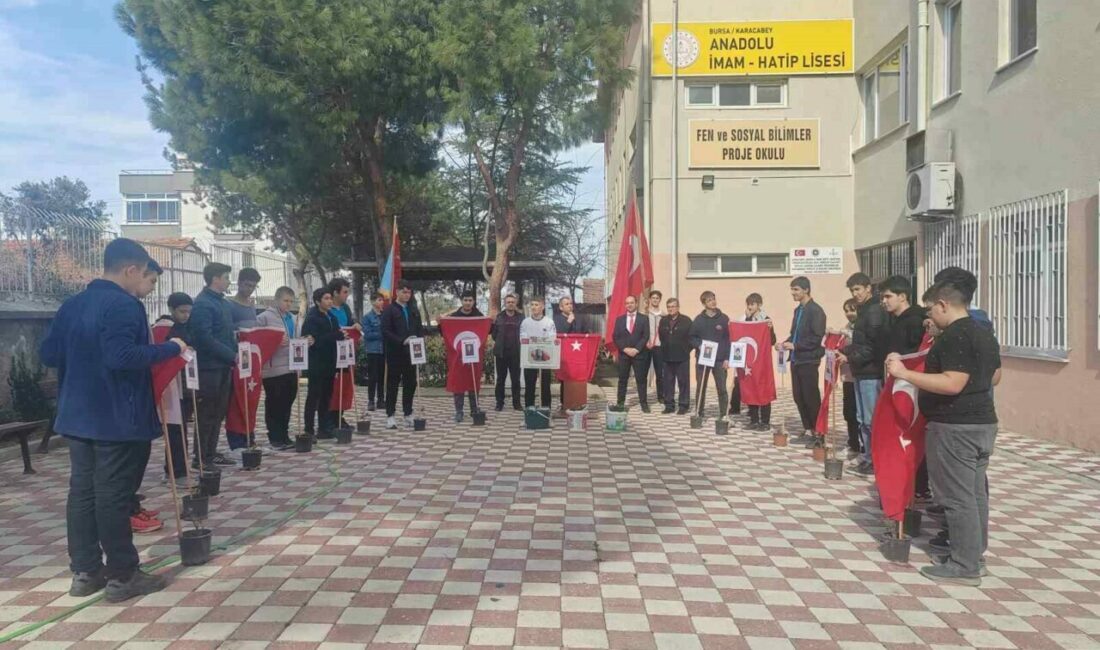 Karacabey Anadolu İmam-Hatip Lisesi bahçesinde gönüllü öğrenciler tarafından köklendirilen gül