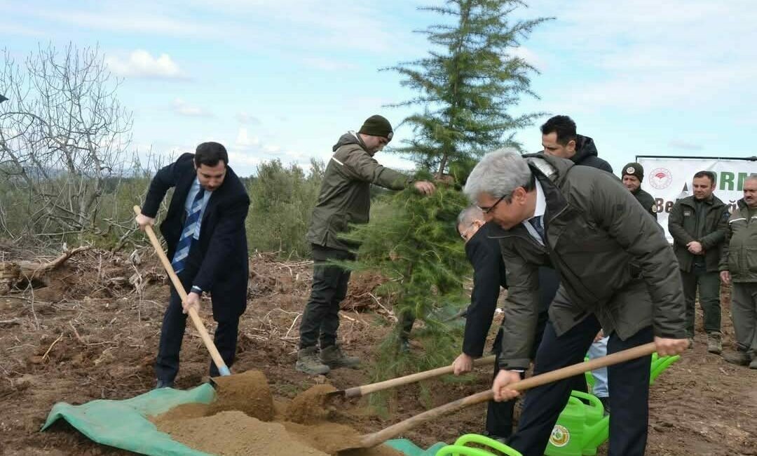 Bursa’da denetimli serbestlik yükümlüleri karaçam fidanlarını toprakla buluşturdu. Tarım ve