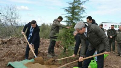 Bursa’da denetimli serbestlik yükümlüleri karaçam fidanlarını toprakla buluşturdu. Tarım ve