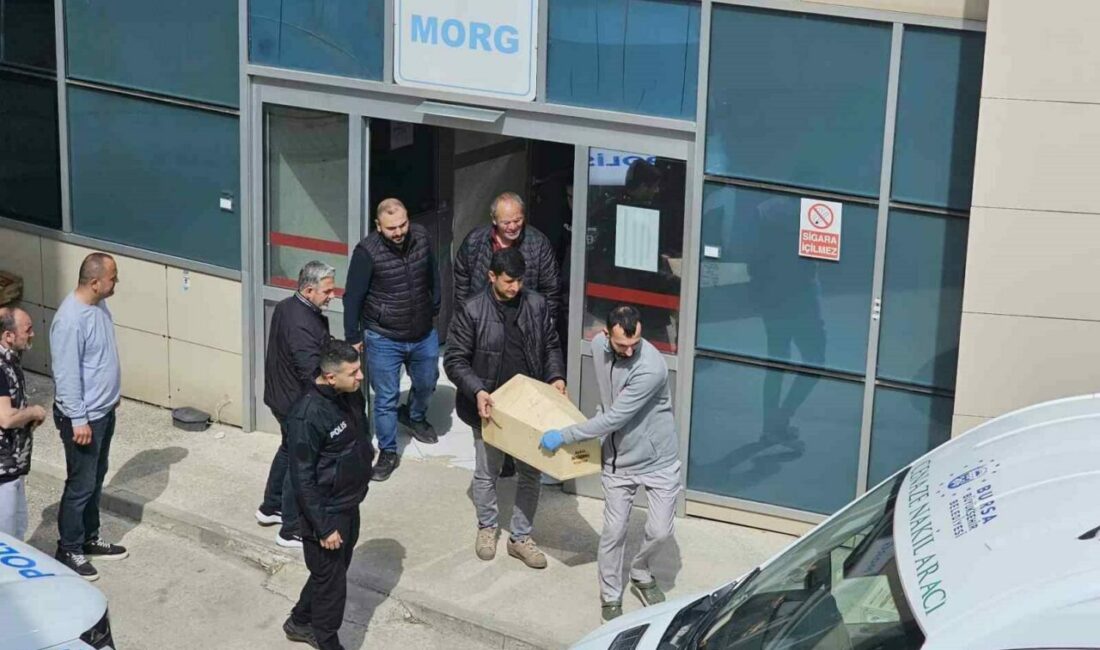 İki aylık bebek yaşamını yitirdi Bursa’nın Orhangazi ilçesinde Solak ailesinin 2 aylık bebeği Alparslan, yatağında